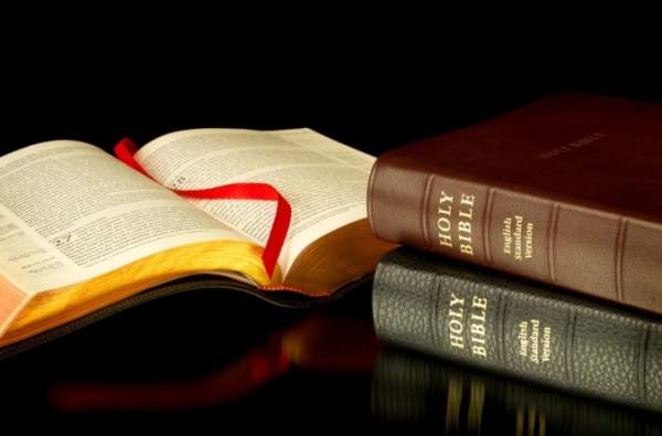 Daily Scripture/Bible Study/Wk 3-7/31 | No Thought Police
