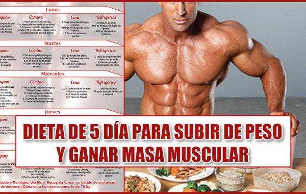 10 Beneficios de la ruda sorprendentes para tu salud