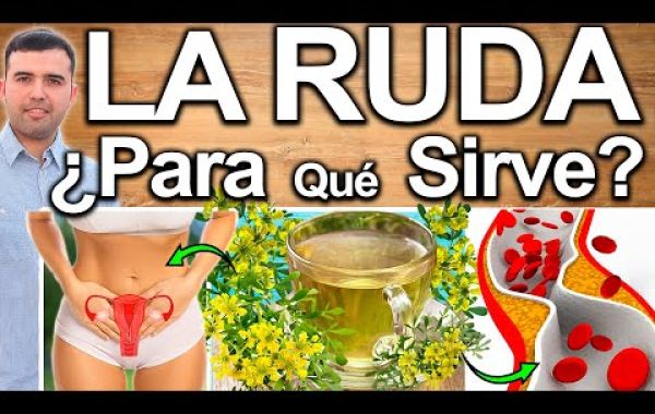 Ruda: El Aliado Natural que Transformará tu Salud Cardiovascular