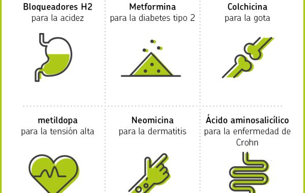 La ruda planta: descubre sus propiedades y usos medicinales