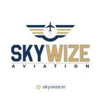 SkyWize Aviation Profile Picture