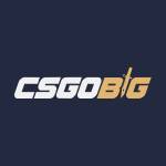 CSGO BIG Profile Picture