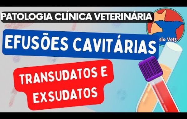 Cuide da Saúde do Seu Pet: Agende Seu Atendimento Veterinário Pré 3 Agora!