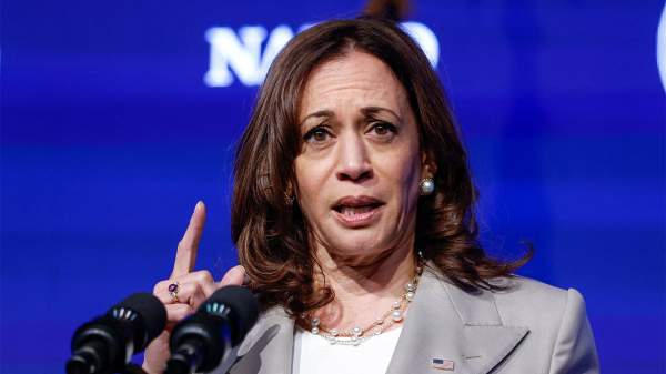 Harris disappears from spotlight, vacations in Hawaii after election loss | Fox News