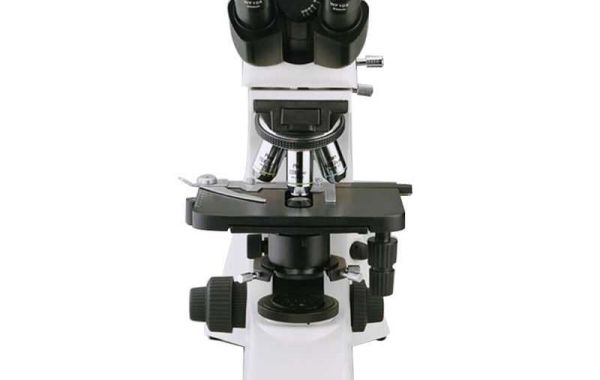 What Are Some Common Applications of Biological Microscopes?