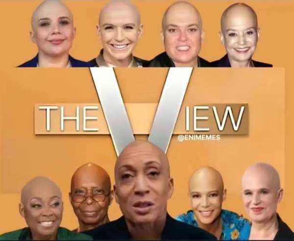 THE MOONBATS OF ‘THE VIEW’ STRIKE YET AGAIN… | a "Backwoods" Conservative