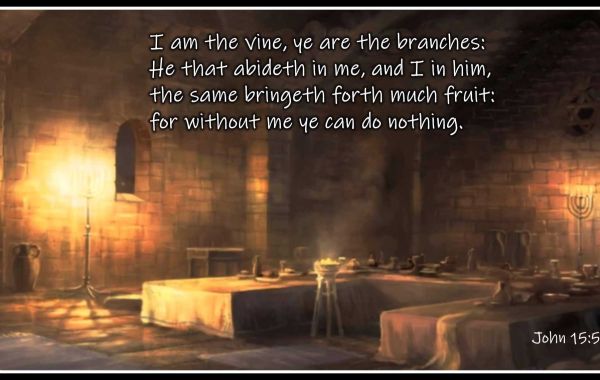 The Vine and the Vinedresser - John 15:1-3