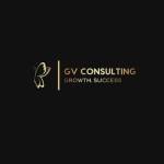 GV Consulting Profile Picture