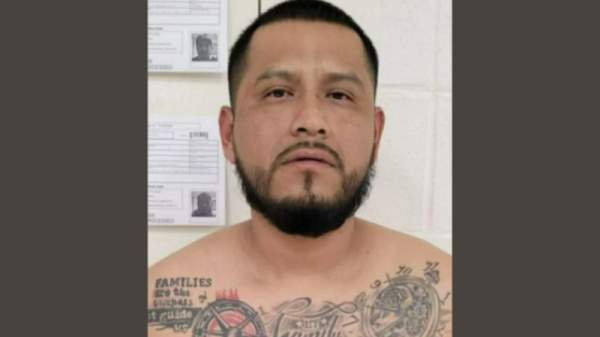 Illegal immigrant arrested for violent crimes by ICE after MA court refuses to honor detainer | Law Enforcement Today | lawenforcementtoday.com