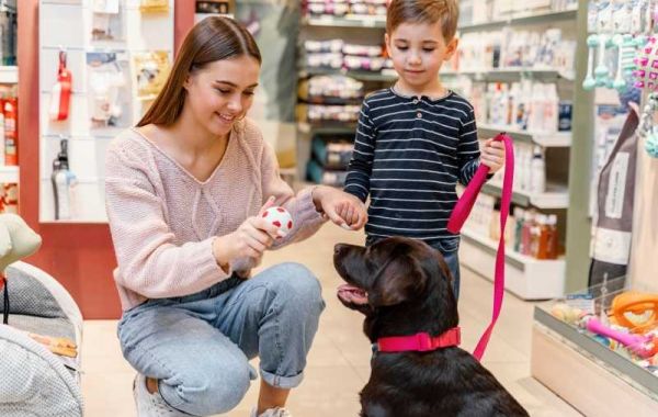 Essential Tips for Buying Budget Pet Supplies by Pet Owners