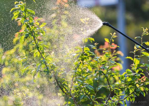 Study: Pesticide exposure linked to obesity, endocrine disorders and other devastating health effects   – NaturalNews.com