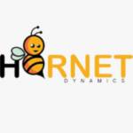 HornetDynamics Profile Picture