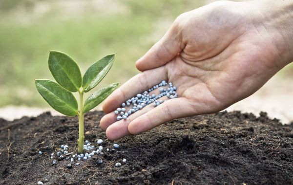 Soil Fertility Testing Market Overview