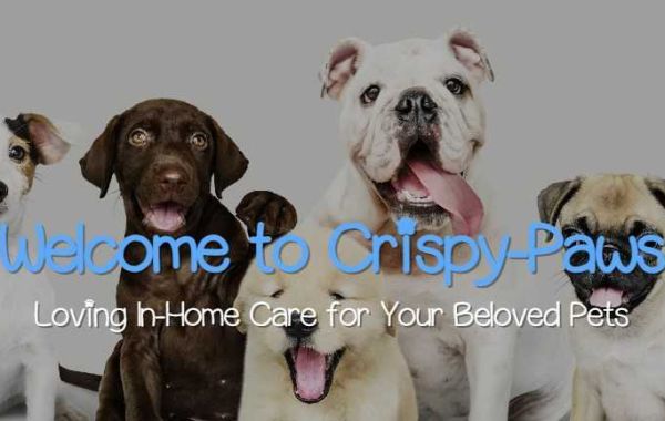 Crispy-Paws: Reliable In-Home Pet Care for Your Furry Companions