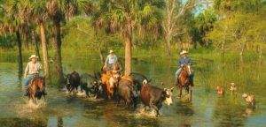 Cracker Cowboys of Florida – Legends of America