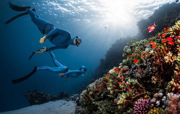 Freediving in Nusa Penida