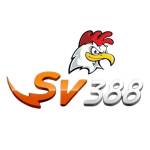 SV388 navy Profile Picture