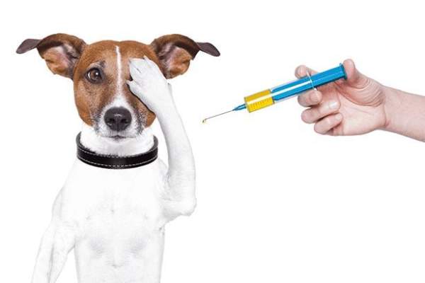 Titer Tests For Rabies? Part II - The Washington Standard