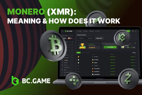 Monero XMR: What It Is | BC.Game