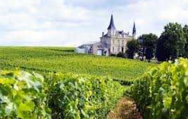 What to Expect on a Bordeaux Private Tours?