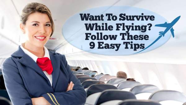 Want To Survive While Flying? Follow These 9 Easy Tips | Babylon Bee