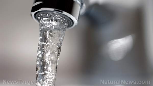 Fluoride in drinking water poses serious risks to children, pregnant women   – NaturalNews.com