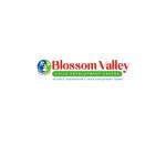 Blossom Valley Therapy Center Profile Picture