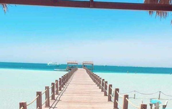 Ausflug mit Red Sea Happy Tour – Dein Perfektes Abenteuer am Roten Meer