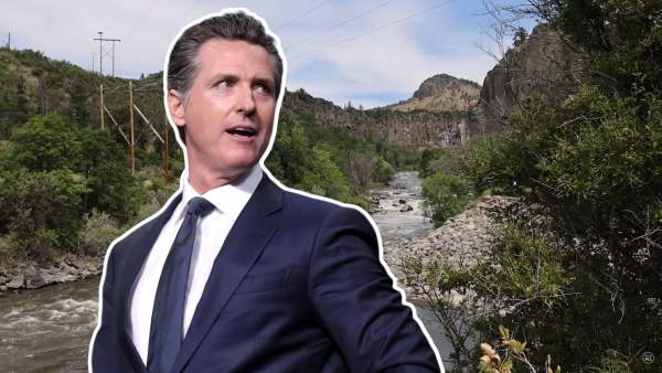 BREAKING: Gavin Newsom Waves the White Flag—Trump FORCES His Hand on Major Policy! – Potus Toast