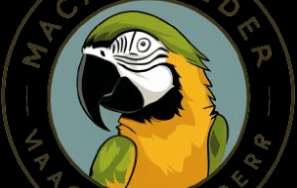 A Comprehensive Guide to Buying a Macaw Bird