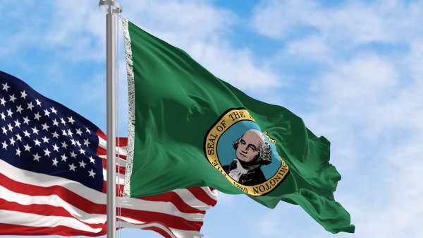 WA Democrats Craft Bill to Remove George Washington from State Flag - The Punching Bag Post