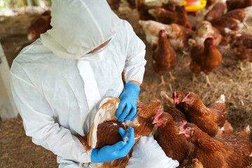 And Here It Comes Because The People Didn't Bring The Criminals To Justice The First Time… UN Declares “Unprecedented” Bird Flu Threat - The Washington Standard