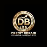 DB Credit repair Profile Picture