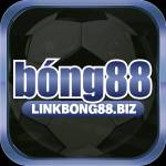 bong88 Profile Picture