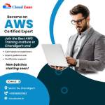 jamwal kumar Profile Picture