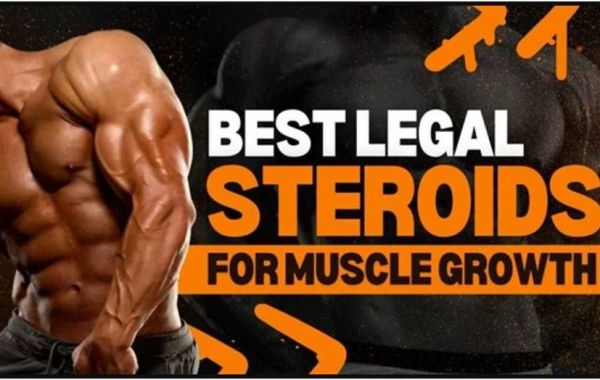 Best Supplements Like Steroids That Are Totally Legal
