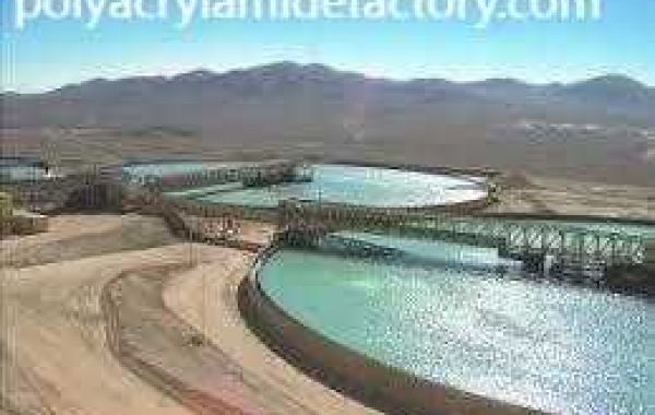 Sustainable Mineral Processing Solutions from Polyacrylamidefactory