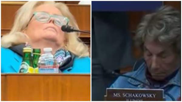 IT’S NAPTIME IN AMERICA: TWO Democrat Congresswomen Fall Sound Asleep During the Same Committee Hearing!