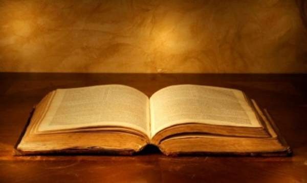 Our Daily Scripture Series – May 24th | No Thought Police
