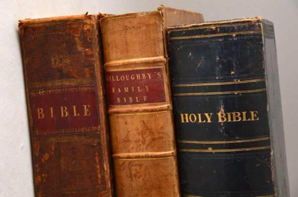 Daily Scripture Series – May 25th | No Thought Police