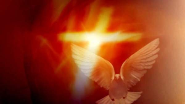 His Spirit Will Teach You – Open Your Hearts and Listen | No Thought Police