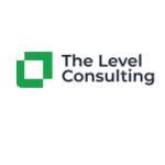 The Level Consulting Profile Picture
