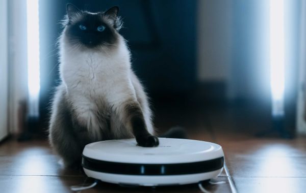 You'll Never Be Able To Figure Out This Automatic Cleaning Robot's Benefits