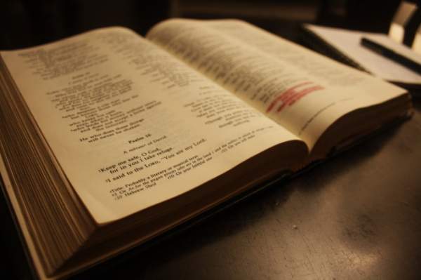 Daily Scripture Series – May 28th | No Thought Police