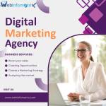 Seo Agency France Profile Picture