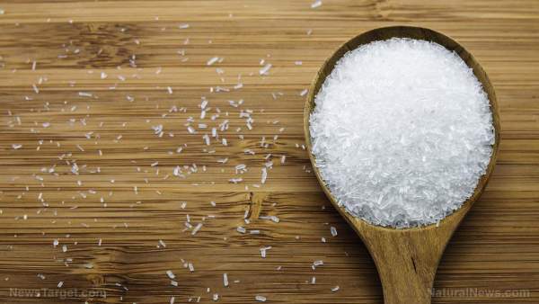 Dr. Russell Blaylock’s “Excitotoxins: The Taste That Kills” zooms in on the silent, brain-damaging threat in our food   – NaturalNews.com