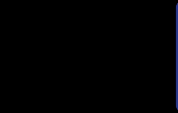 Article Picture