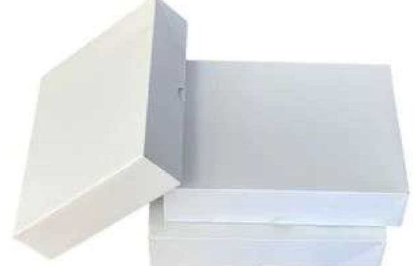 Why Custom Letterhead Envelopes Are Essential for Your Business