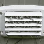 Burnsville Dryer Vent Cleaning Profile Picture
