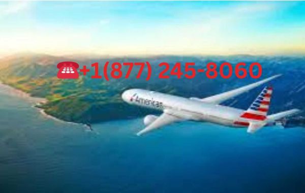 American Airlines Customer Service for Noise Complaints